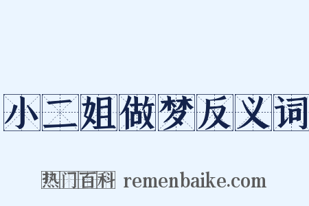 小二姐做梦反义词是什么意思的图片